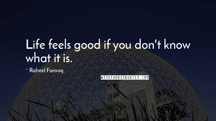 Raheel Farooq Quotes: Life feels good if you don't know what it is.