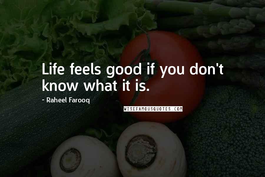 Raheel Farooq Quotes: Life feels good if you don't know what it is.