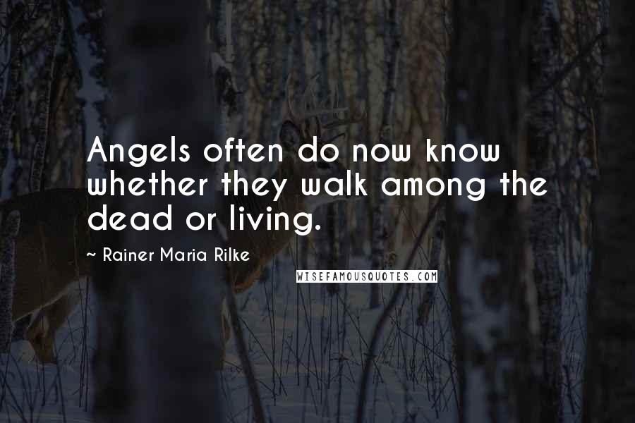 Rainer Maria Rilke Quotes: Angels often do now know whether they walk among the dead or living.