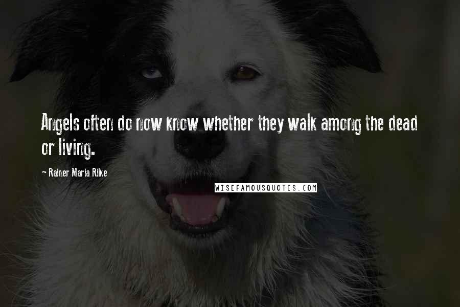 Rainer Maria Rilke Quotes: Angels often do now know whether they walk among the dead or living.