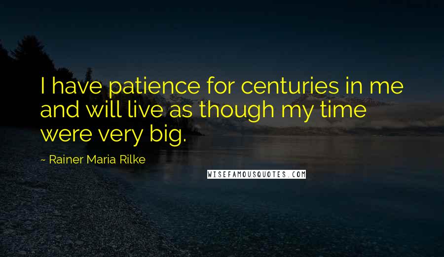 Rainer Maria Rilke Quotes: I have patience for centuries in me and will live as though my time were very big.