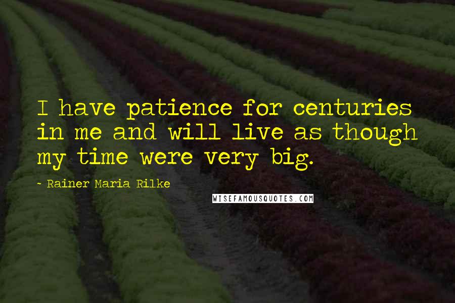 Rainer Maria Rilke Quotes: I have patience for centuries in me and will live as though my time were very big.