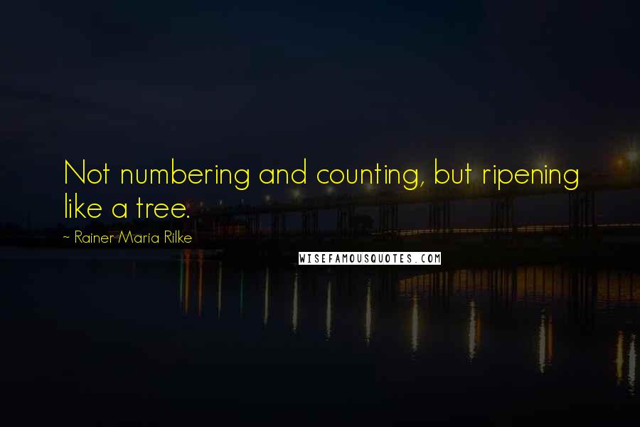 Rainer Maria Rilke Quotes: Not numbering and counting, but ripening like a tree.