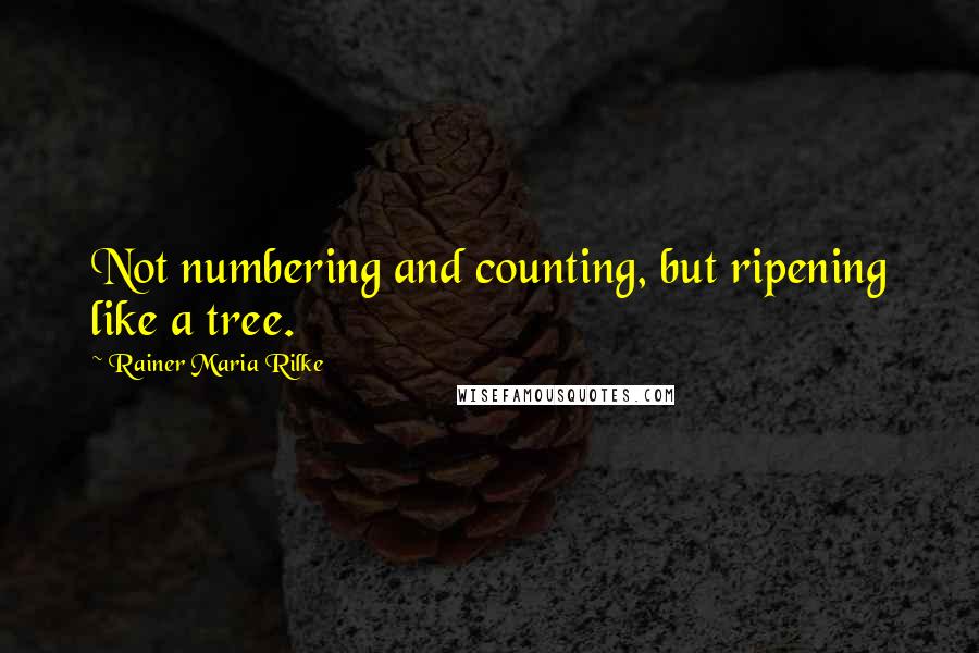 Rainer Maria Rilke Quotes: Not numbering and counting, but ripening like a tree.