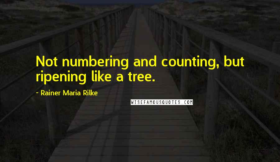 Rainer Maria Rilke Quotes: Not numbering and counting, but ripening like a tree.