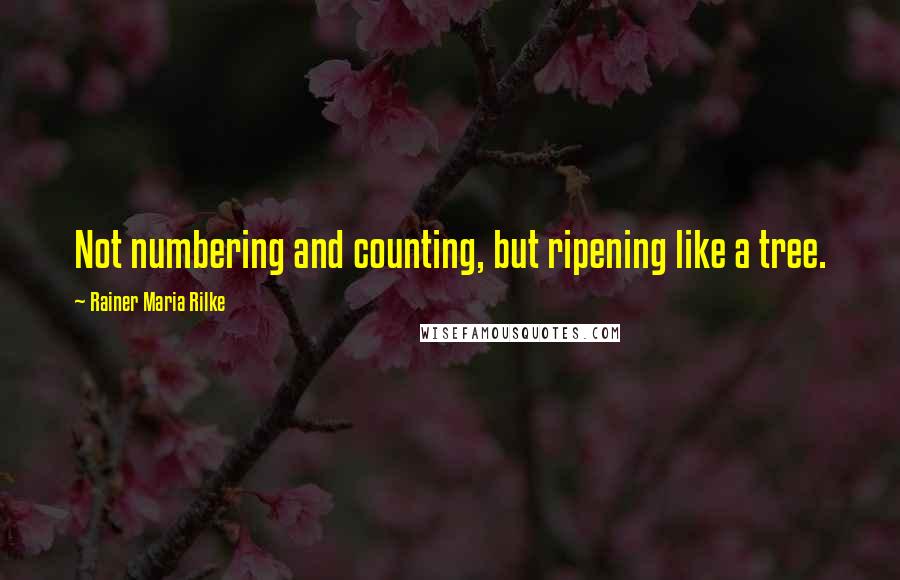 Rainer Maria Rilke Quotes: Not numbering and counting, but ripening like a tree.