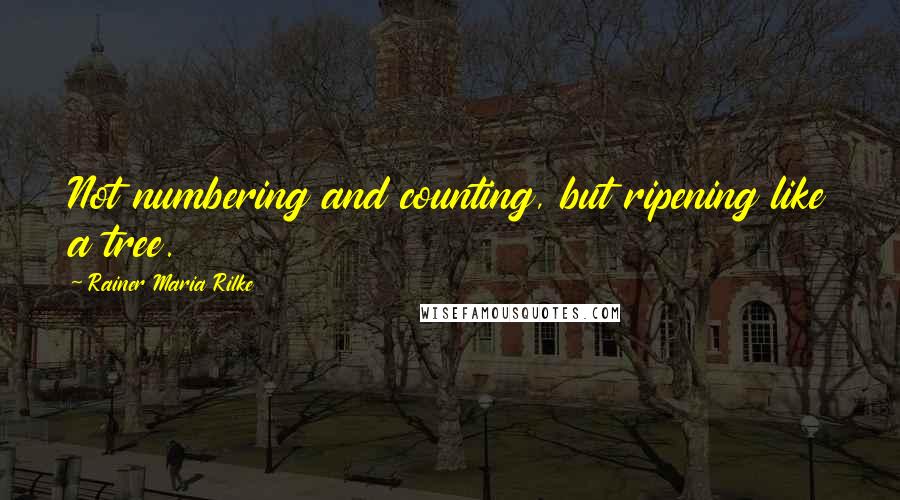 Rainer Maria Rilke Quotes: Not numbering and counting, but ripening like a tree.