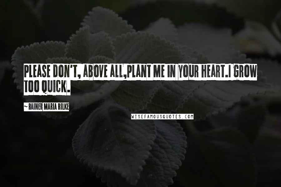 Rainer Maria Rilke Quotes: Please don't, above all,plant me in your heart.I grow too quick.