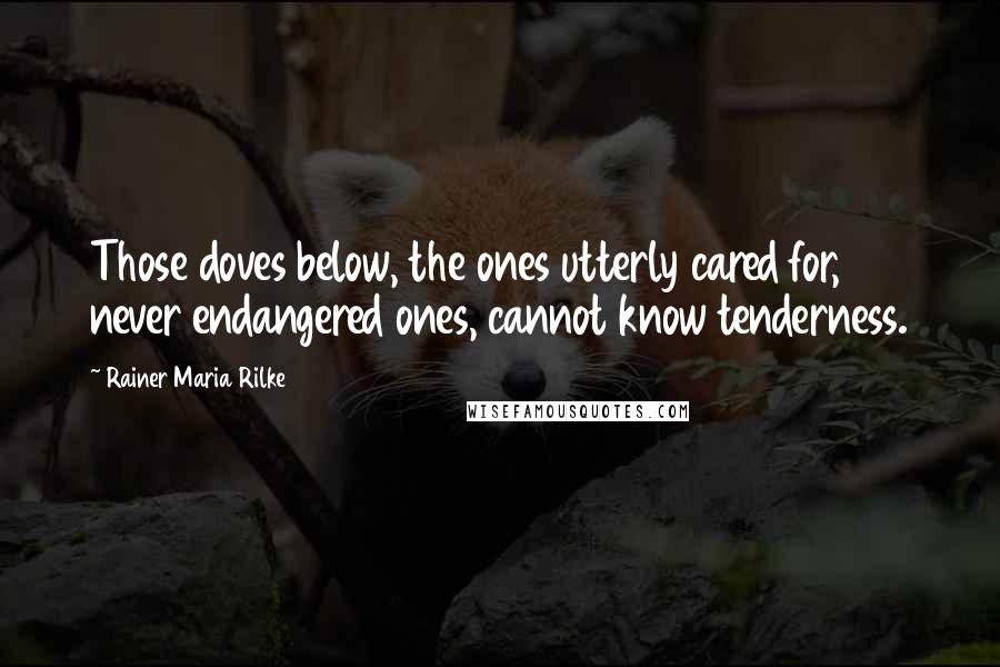 Rainer Maria Rilke Quotes: Those doves below, the ones utterly cared for, never endangered ones, cannot know tenderness.