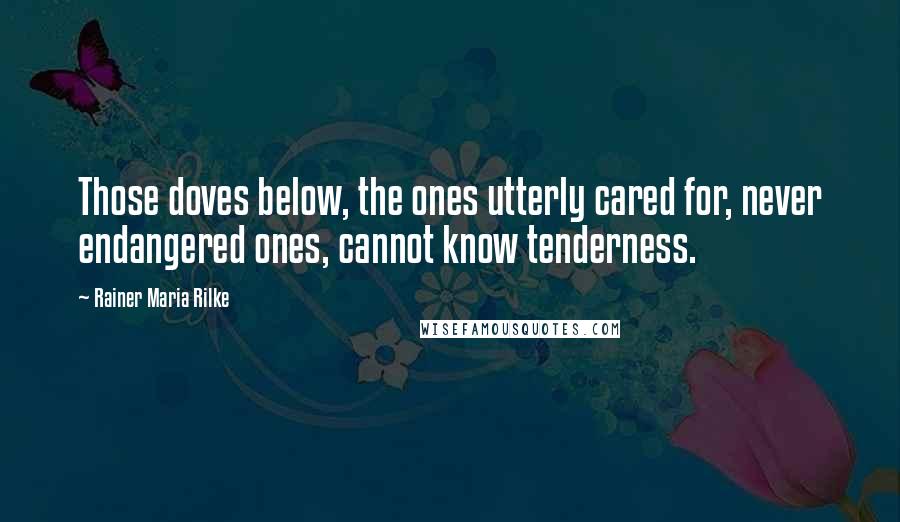 Rainer Maria Rilke Quotes: Those doves below, the ones utterly cared for, never endangered ones, cannot know tenderness.