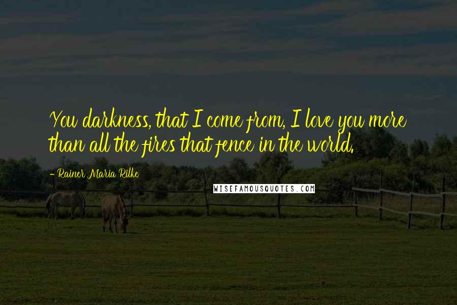 Rainer Maria Rilke Quotes: You darkness, that I come from, I love you more than all the fires that fence in the world.