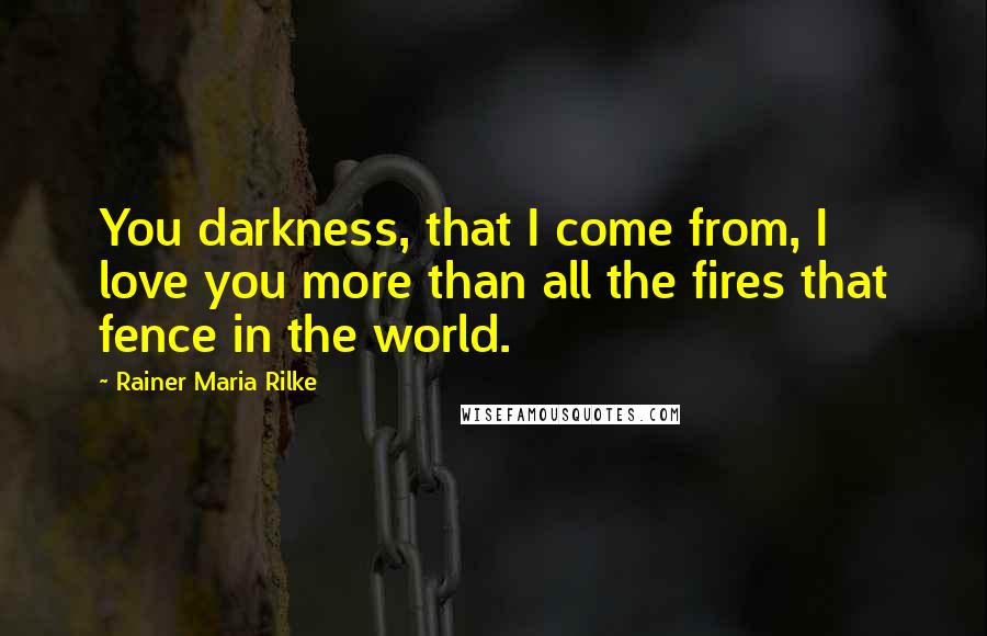 Rainer Maria Rilke Quotes: You darkness, that I come from, I love you more than all the fires that fence in the world.