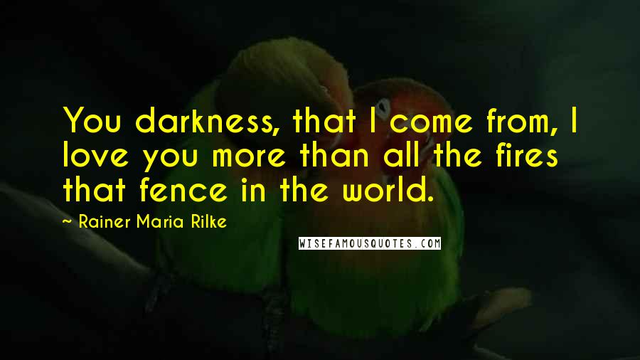 Rainer Maria Rilke Quotes: You darkness, that I come from, I love you more than all the fires that fence in the world.