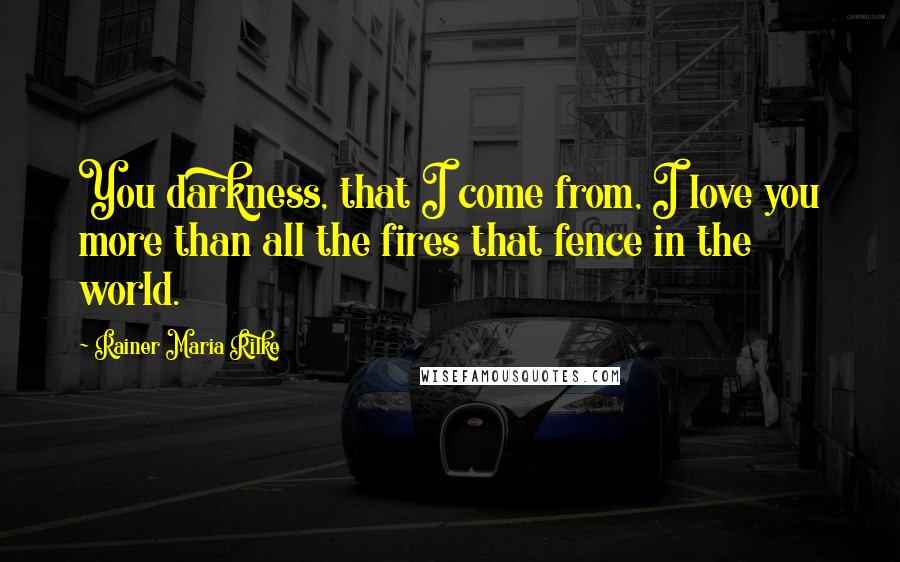 Rainer Maria Rilke Quotes: You darkness, that I come from, I love you more than all the fires that fence in the world.