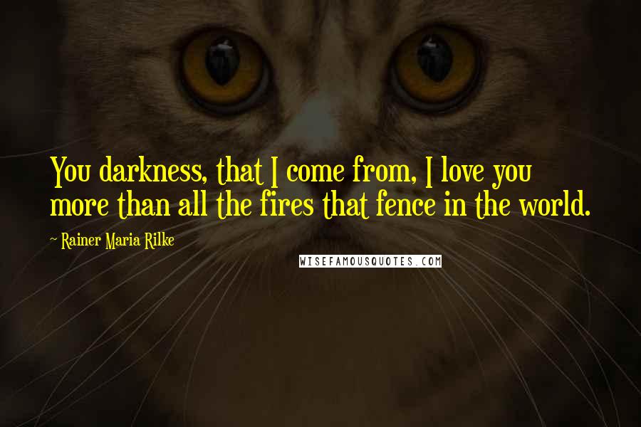 Rainer Maria Rilke Quotes: You darkness, that I come from, I love you more than all the fires that fence in the world.