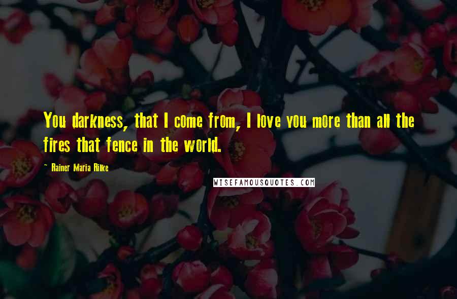 Rainer Maria Rilke Quotes: You darkness, that I come from, I love you more than all the fires that fence in the world.