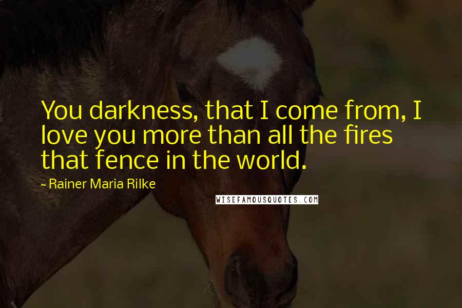 Rainer Maria Rilke Quotes: You darkness, that I come from, I love you more than all the fires that fence in the world.