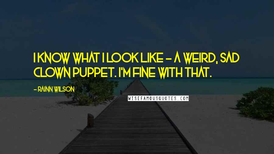 Rainn Wilson Quotes: I know what I look like - a weird, sad clown puppet. I'm fine with that.