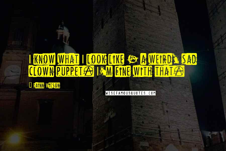 Rainn Wilson Quotes: I know what I look like - a weird, sad clown puppet. I'm fine with that.