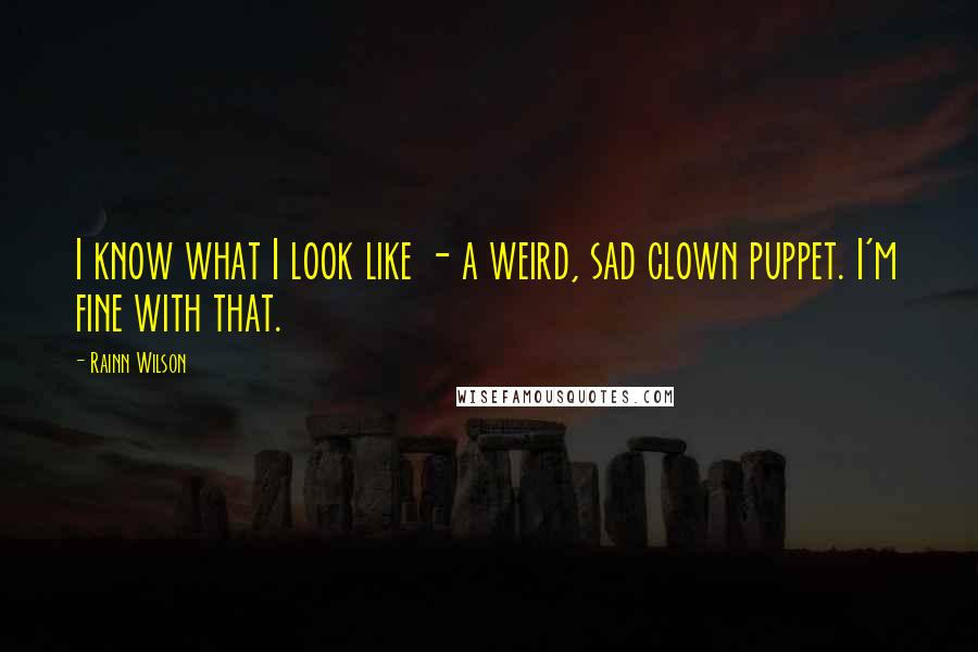 Rainn Wilson Quotes: I know what I look like - a weird, sad clown puppet. I'm fine with that.