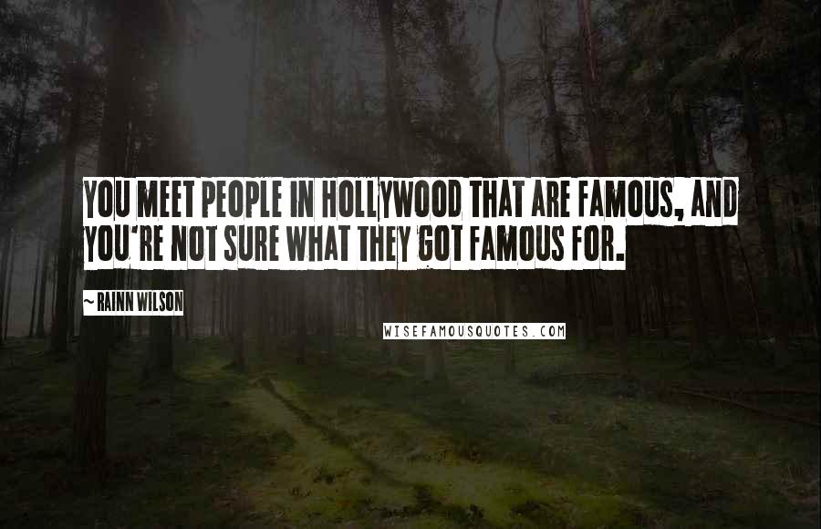 Rainn Wilson Quotes: You meet people in Hollywood that are famous, and you're not sure what they got famous for.