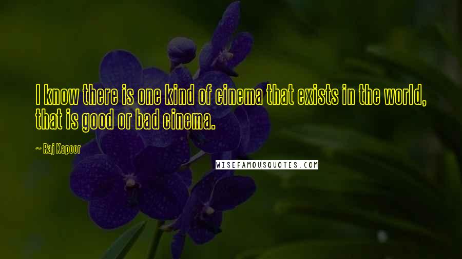 Raj Kapoor Quotes: I know there is one kind of cinema that exists in the world, that is good or bad cinema.