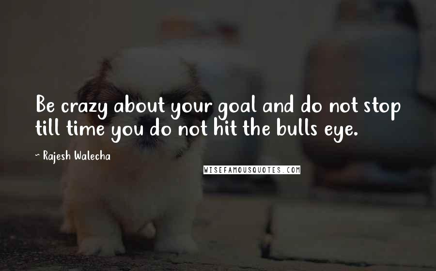 Rajesh Walecha Quotes: Be crazy about your goal and do not stop till time you do not hit the bulls eye.