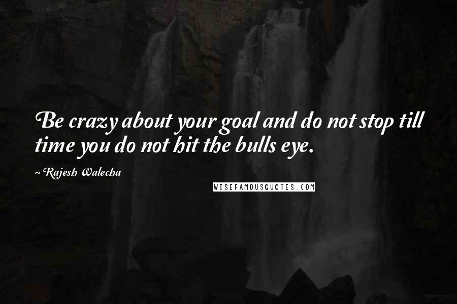 Rajesh Walecha Quotes: Be crazy about your goal and do not stop till time you do not hit the bulls eye.