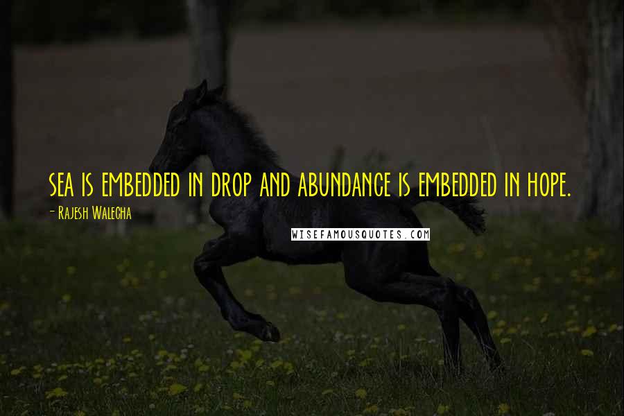 Rajesh Walecha Quotes: sea is embedded in drop and abundance is embedded in hope.