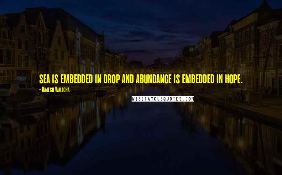 Rajesh Walecha Quotes: sea is embedded in drop and abundance is embedded in hope.