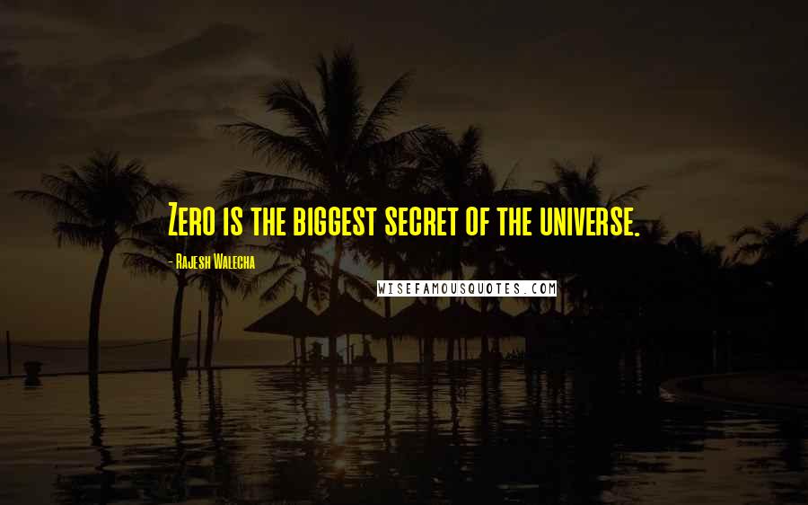 Rajesh Walecha Quotes: Zero is the biggest secret of the universe.