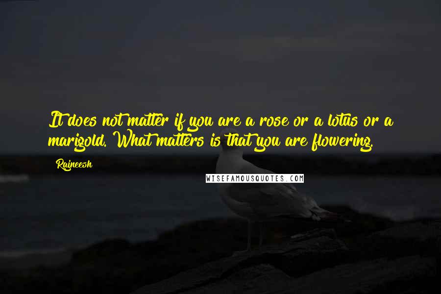 Rajneesh Quotes: It does not matter if you are a rose or a lotus or a marigold. What matters is that you are flowering.