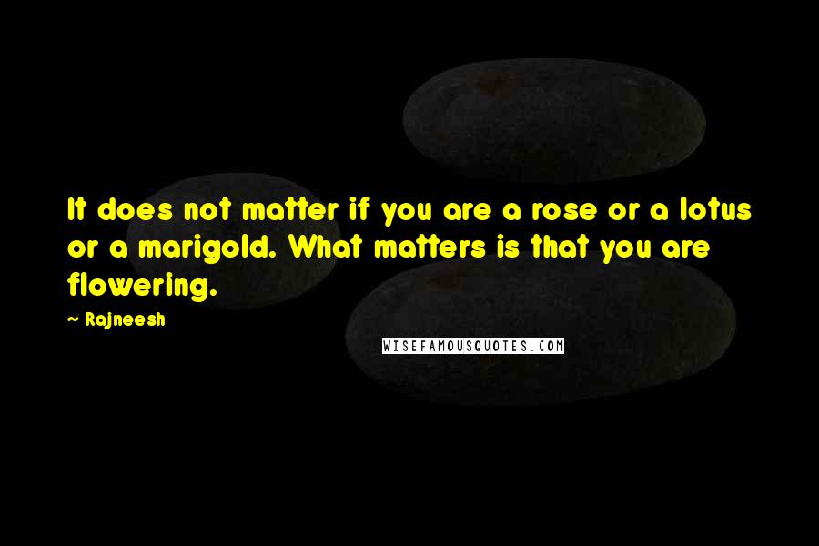 Rajneesh Quotes: It does not matter if you are a rose or a lotus or a marigold. What matters is that you are flowering.