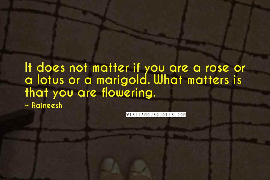 Rajneesh Quotes: It does not matter if you are a rose or a lotus or a marigold. What matters is that you are flowering.