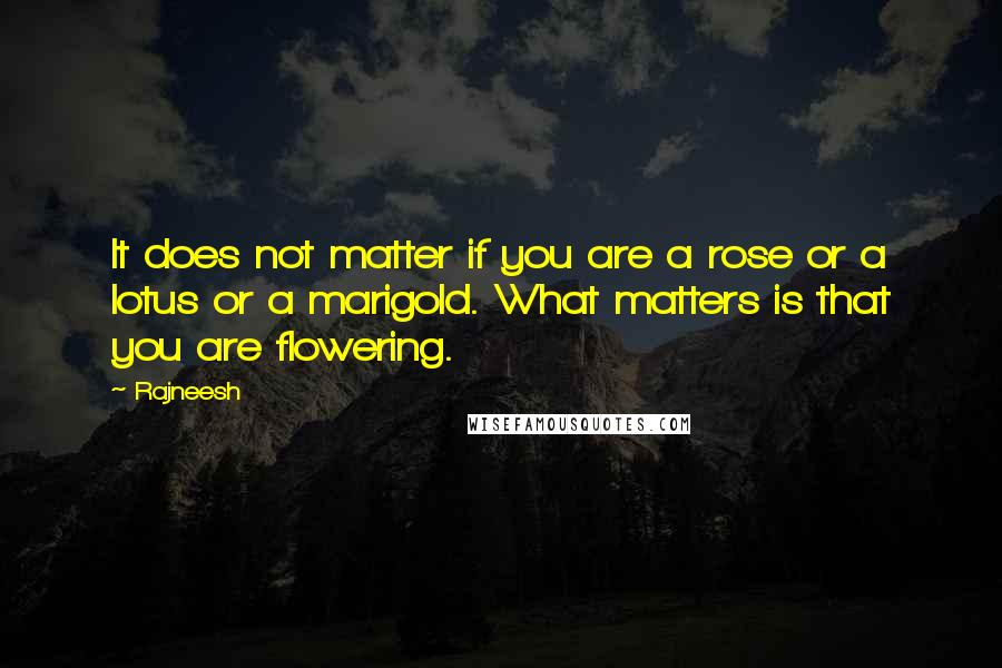 Rajneesh Quotes: It does not matter if you are a rose or a lotus or a marigold. What matters is that you are flowering.