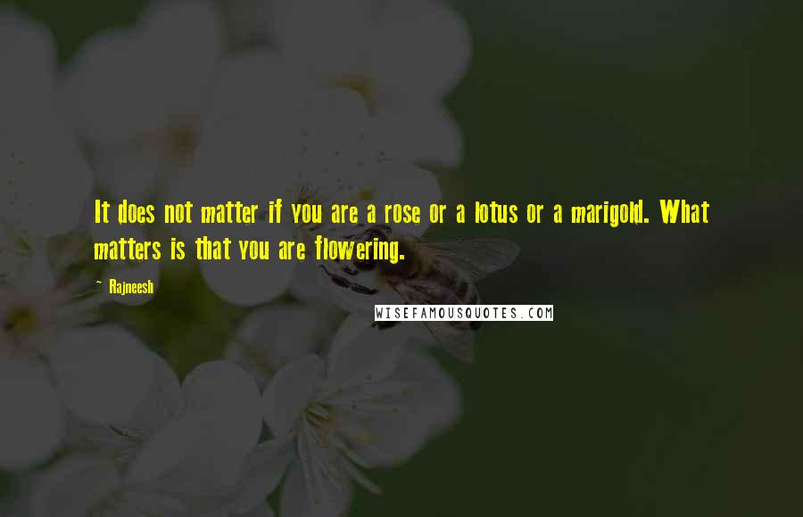 Rajneesh Quotes: It does not matter if you are a rose or a lotus or a marigold. What matters is that you are flowering.