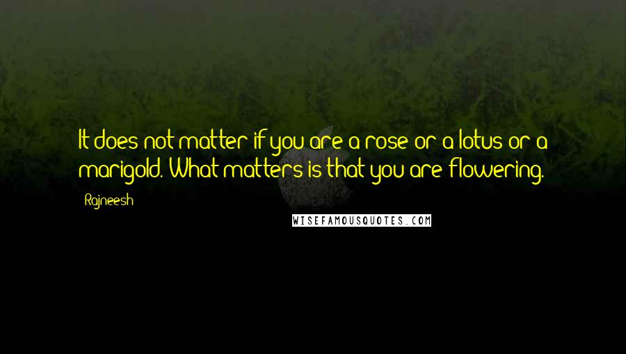 Rajneesh Quotes: It does not matter if you are a rose or a lotus or a marigold. What matters is that you are flowering.