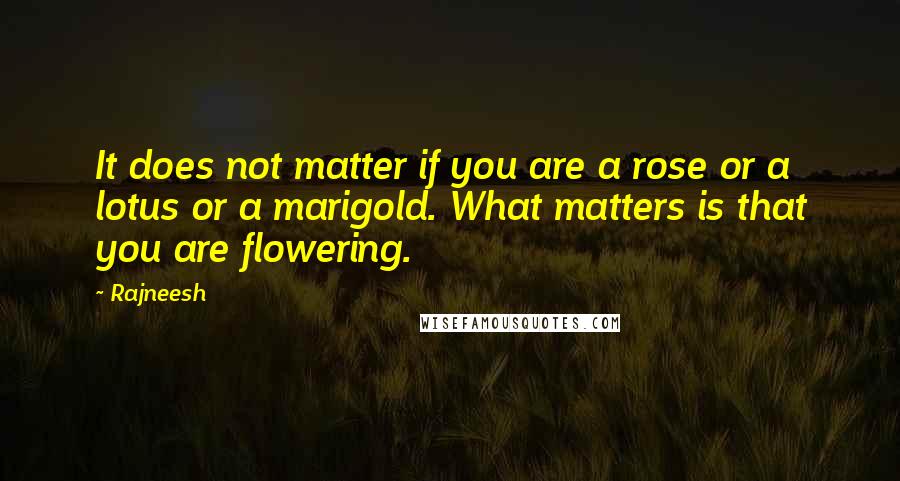 Rajneesh Quotes: It does not matter if you are a rose or a lotus or a marigold. What matters is that you are flowering.