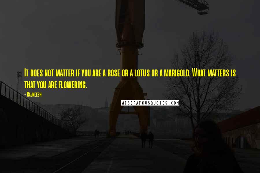 Rajneesh Quotes: It does not matter if you are a rose or a lotus or a marigold. What matters is that you are flowering.