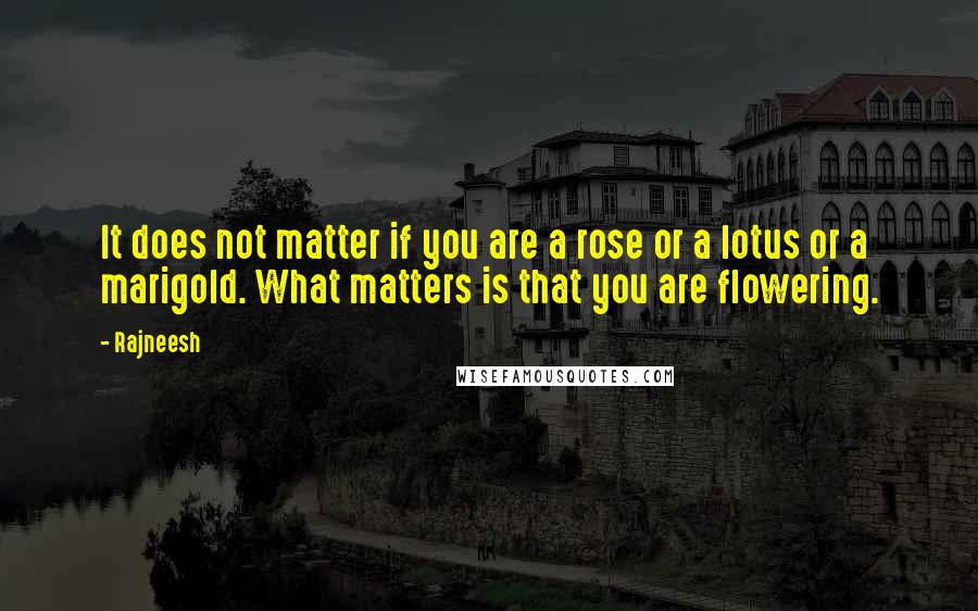 Rajneesh Quotes: It does not matter if you are a rose or a lotus or a marigold. What matters is that you are flowering.