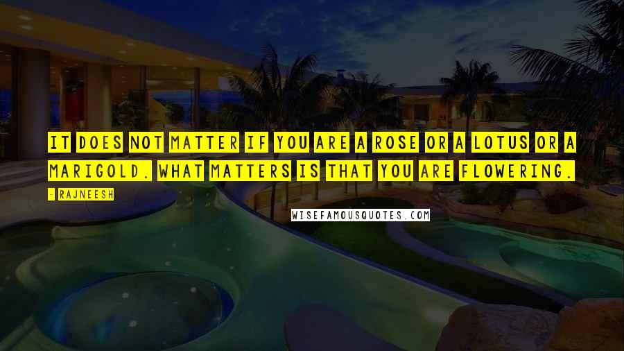 Rajneesh Quotes: It does not matter if you are a rose or a lotus or a marigold. What matters is that you are flowering.