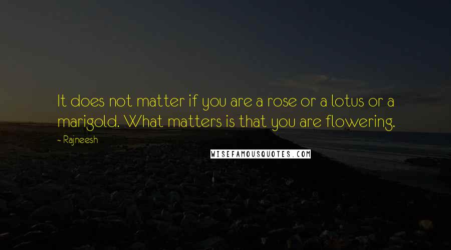 Rajneesh Quotes: It does not matter if you are a rose or a lotus or a marigold. What matters is that you are flowering.