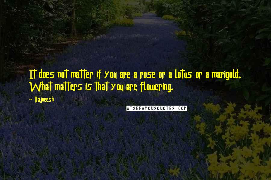 Rajneesh Quotes: It does not matter if you are a rose or a lotus or a marigold. What matters is that you are flowering.