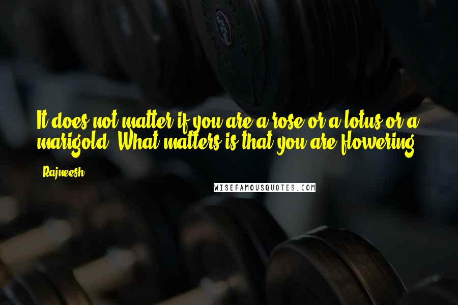 Rajneesh Quotes: It does not matter if you are a rose or a lotus or a marigold. What matters is that you are flowering.