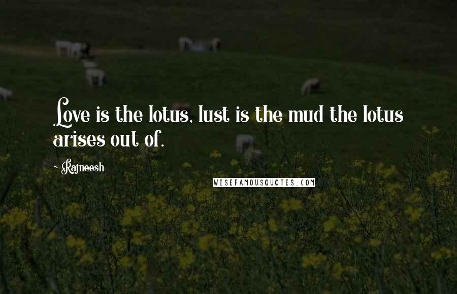 Rajneesh Quotes: Love is the lotus, lust is the mud the lotus arises out of.