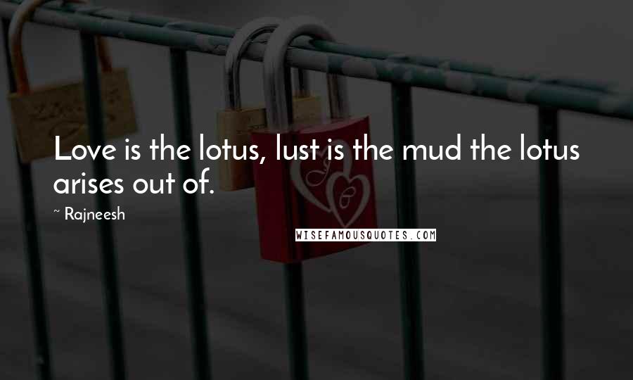 Rajneesh Quotes: Love is the lotus, lust is the mud the lotus arises out of.