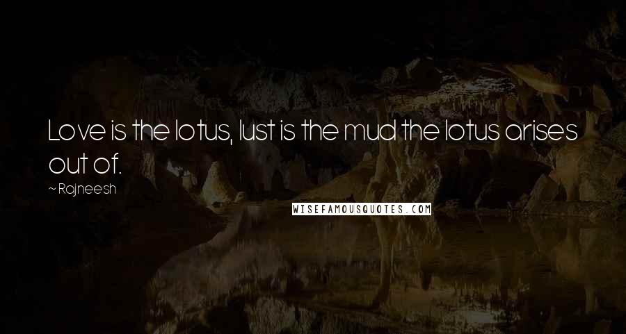 Rajneesh Quotes: Love is the lotus, lust is the mud the lotus arises out of.
