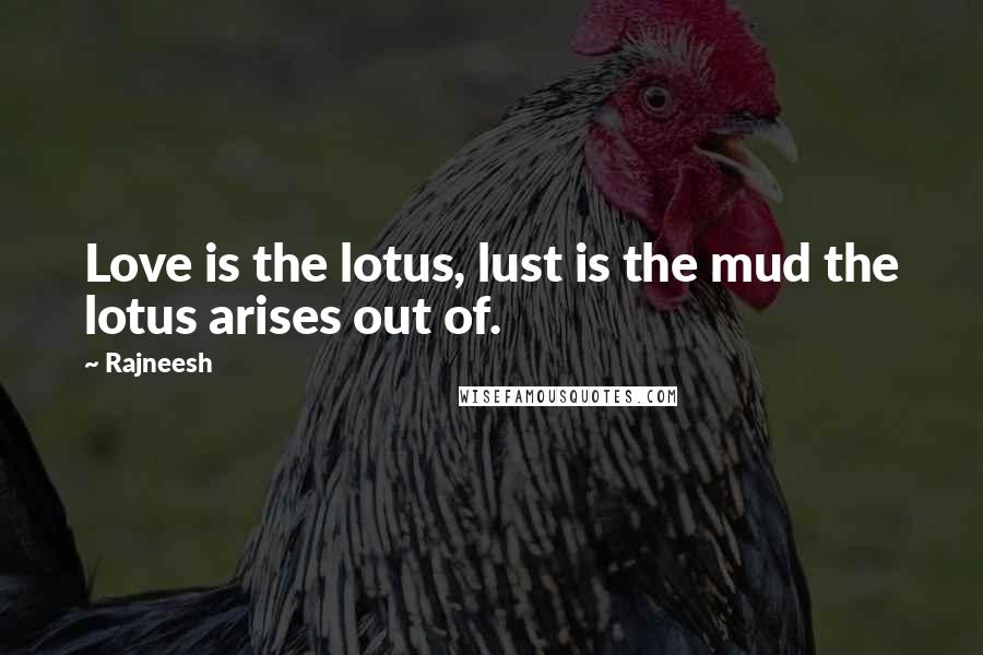 Rajneesh Quotes: Love is the lotus, lust is the mud the lotus arises out of.