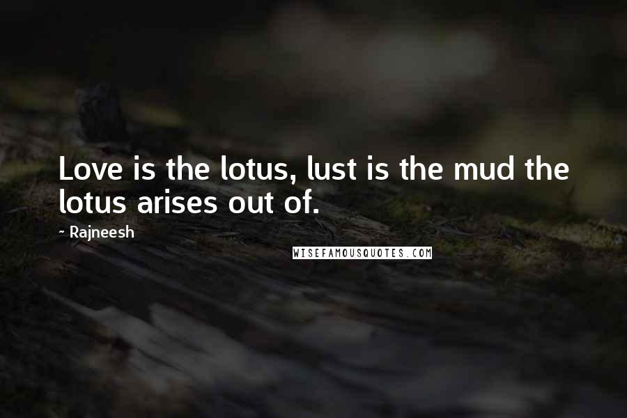 Rajneesh Quotes: Love is the lotus, lust is the mud the lotus arises out of.