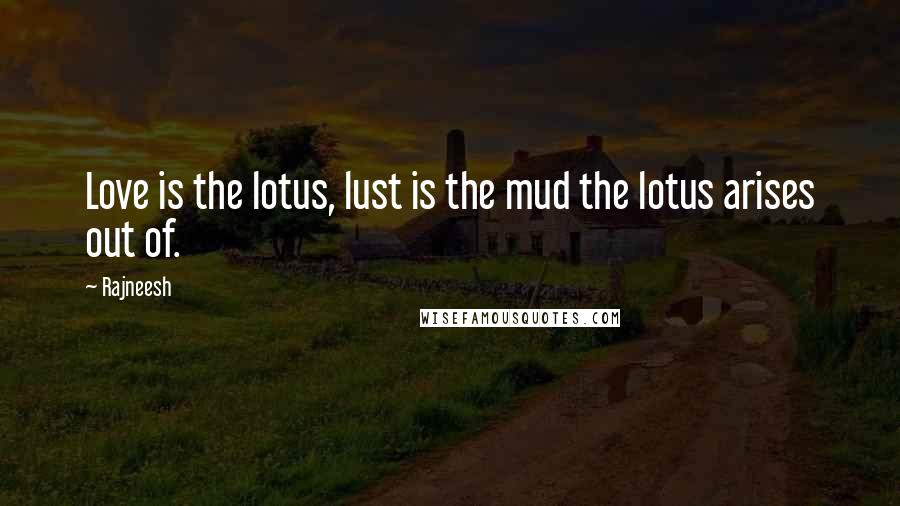 Rajneesh Quotes: Love is the lotus, lust is the mud the lotus arises out of.